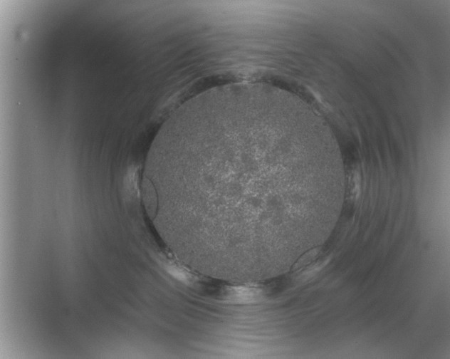 X0000070420286200606161446