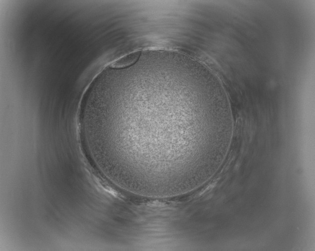 X0000070420290200606161445