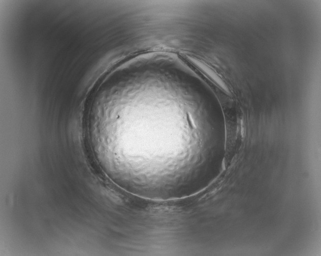 X0000070420291200606161445