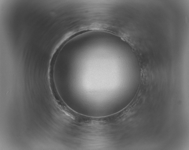 X0000070420292200606161445