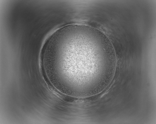 X0000070420294200606161445