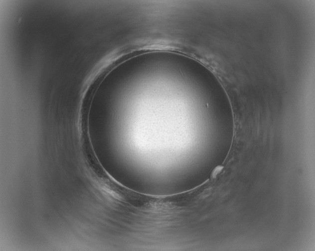 X0000070420296200606161445