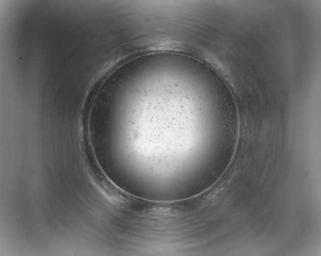 X0000070420298200606161445