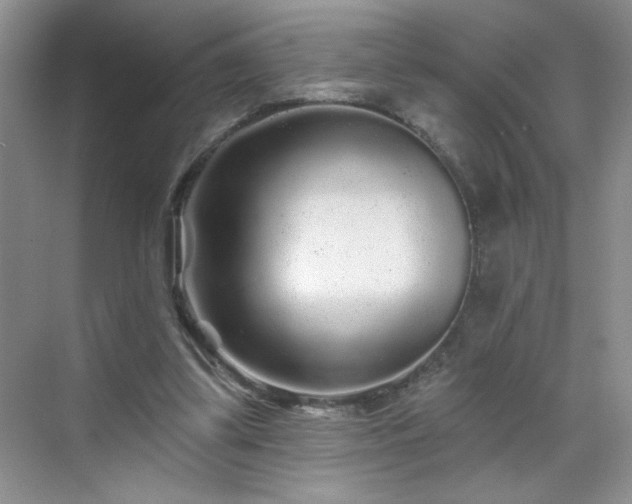 X0000070420299200606161445