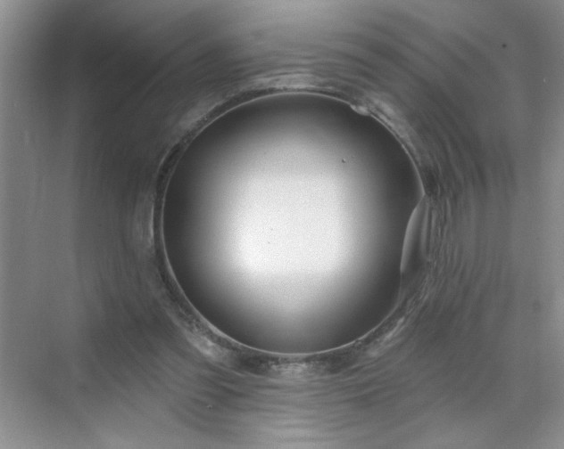 X0000070420301200606161445