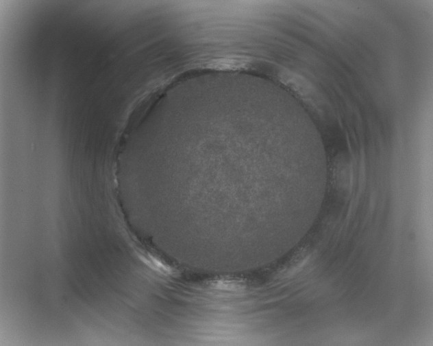 X0000070420303200606161445