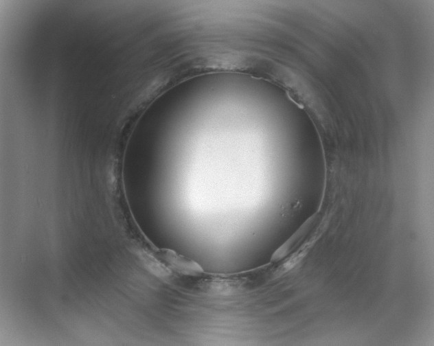 X0000070420305200606161445