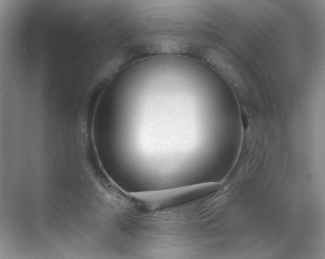 X0000070420306200606161445