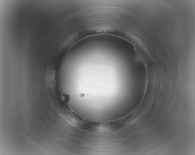 X0000070420308200606161445