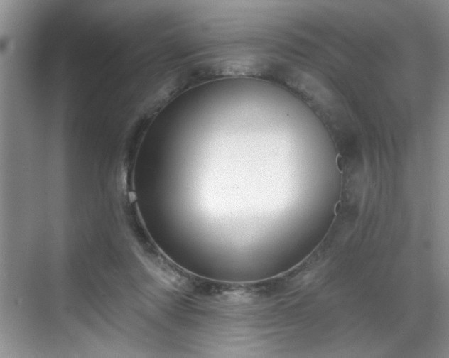 X0000070420310200606161445