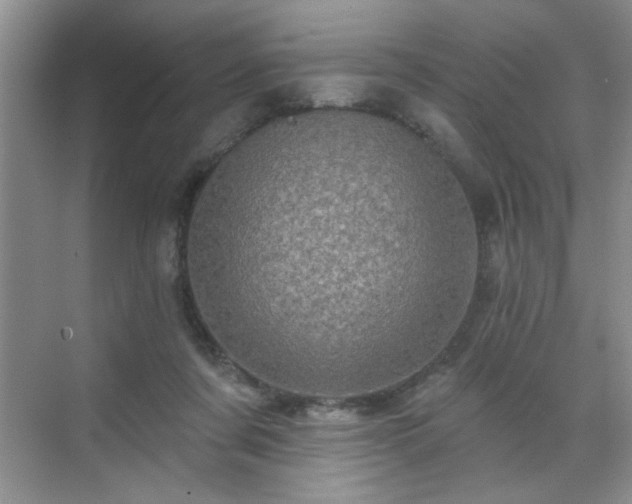 X0000070420311200606161445