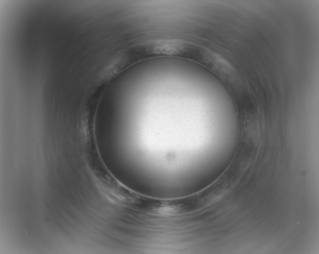 X0000070420312200606161445