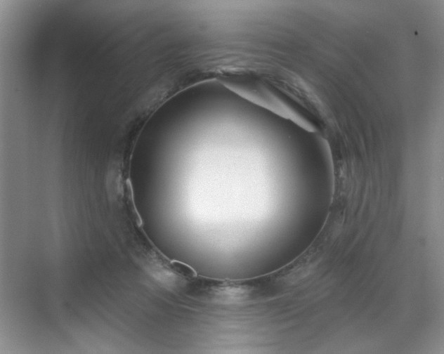 X0000070420313200606161445