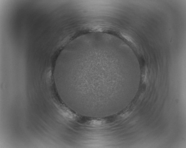 X0000070420314200606161445