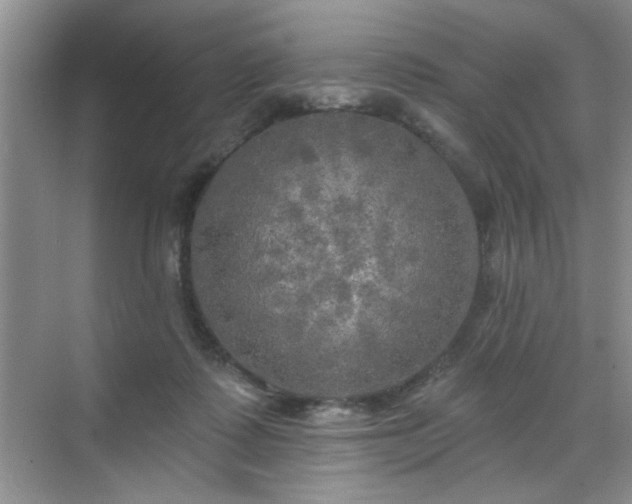 X0000070420315200606161445