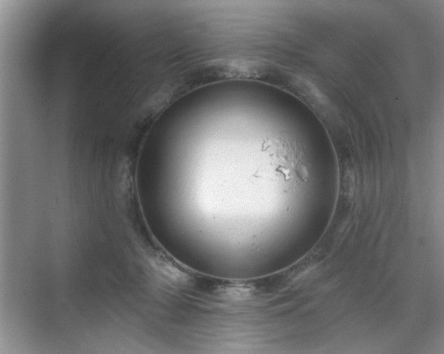 X0000070420318200606161445