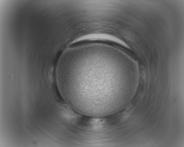 X0000070420319200606161445