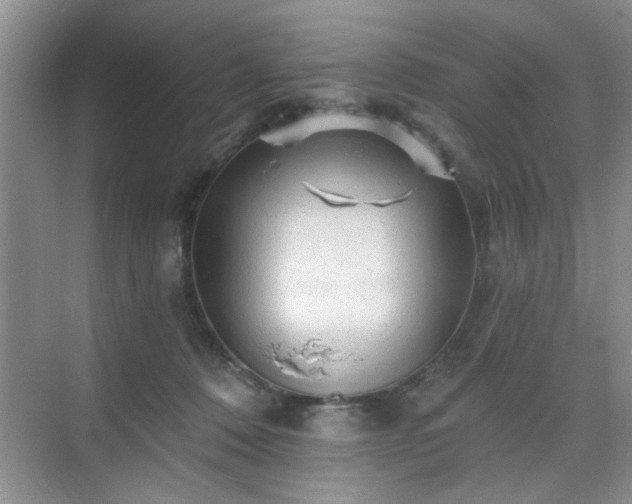 X0000070420320200606161445