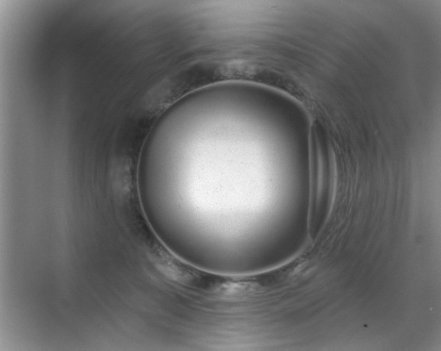 X0000070420323200606161444