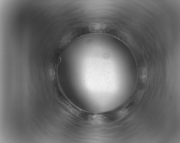 X0000070420324200606161444