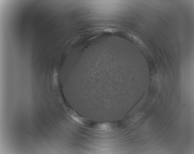 X0000070420325200606161444