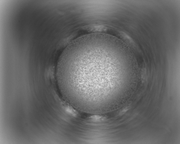 X0000070420326200606161444