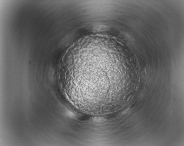 X0000070420327200606161444