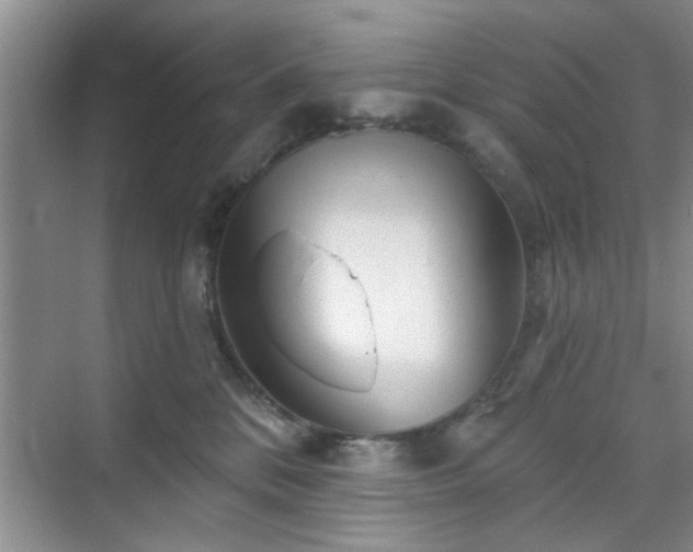 X0000070420328200606161444