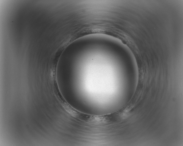 X0000070420329200606161444