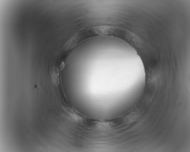 X0000070420332200606161444