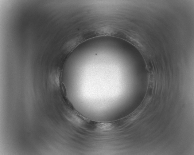 X0000070420334200606161444