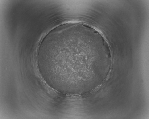 X0000070420337200606161443