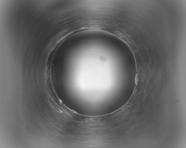 X0000070420338200606161443