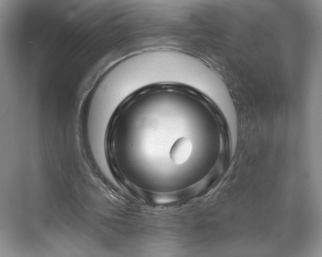 X0000070420339200606161443