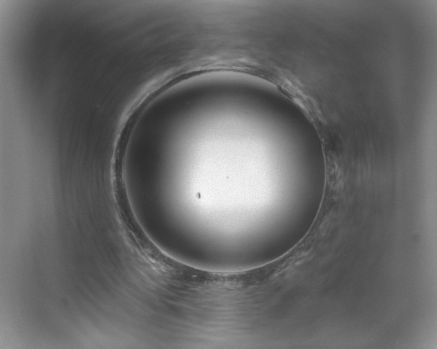 X0000070420340200606161443