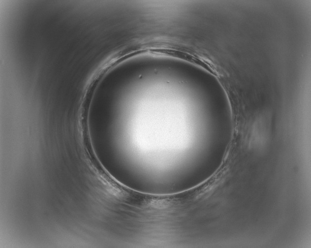 X0000070420341200606161444