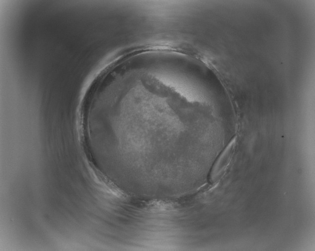 X0000070420343200606161444