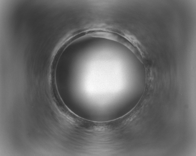 X0000070420344200606161444