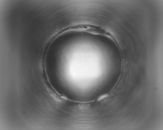 X0000070420345200606161444