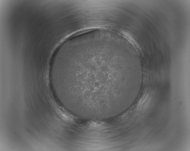 X0000070420346200606161444