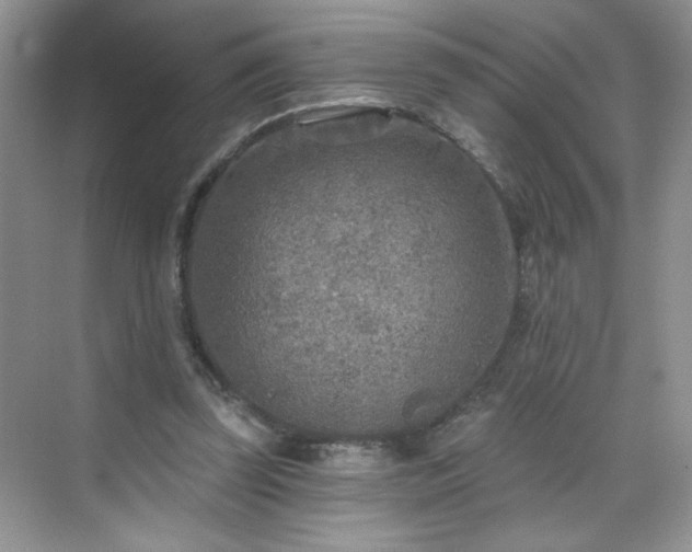 X0000070420347200606161444