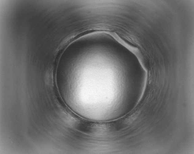 X0000070420349200606161444