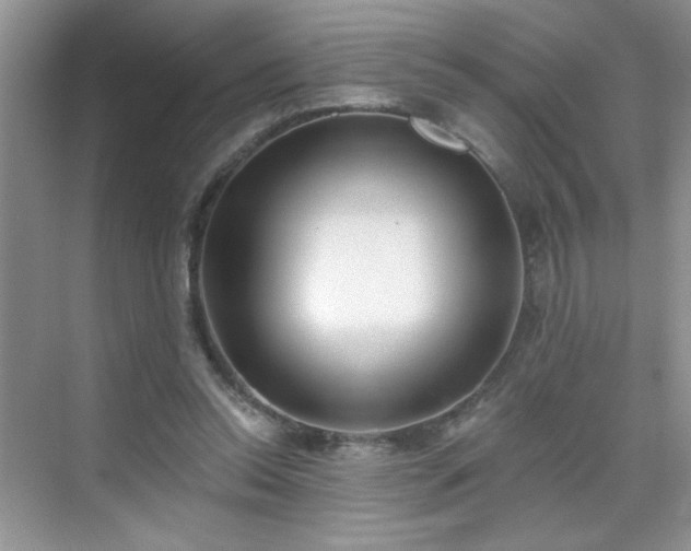 X0000070420350200606161444