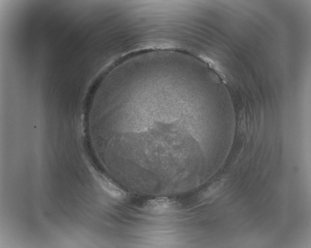 X0000070420351200606161444