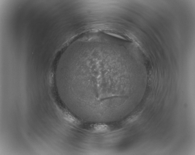 X0000070420355200606161444