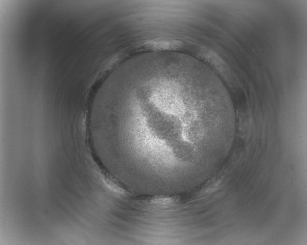 X0000070420357200606161444