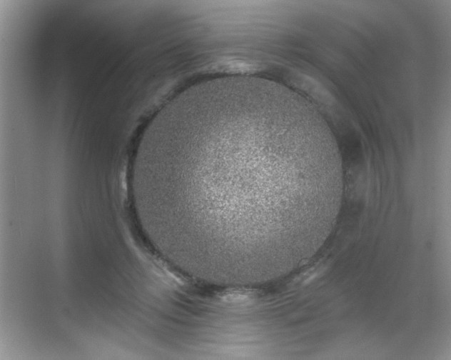 X0000070420358200606161444