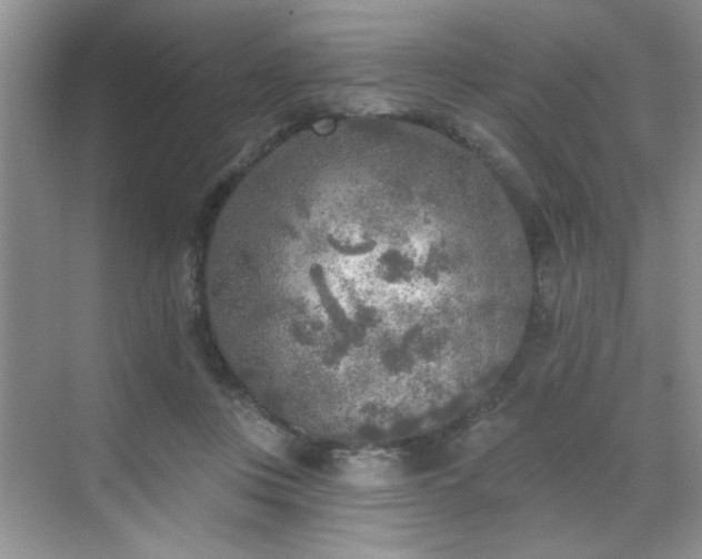 X0000070420359200606161444