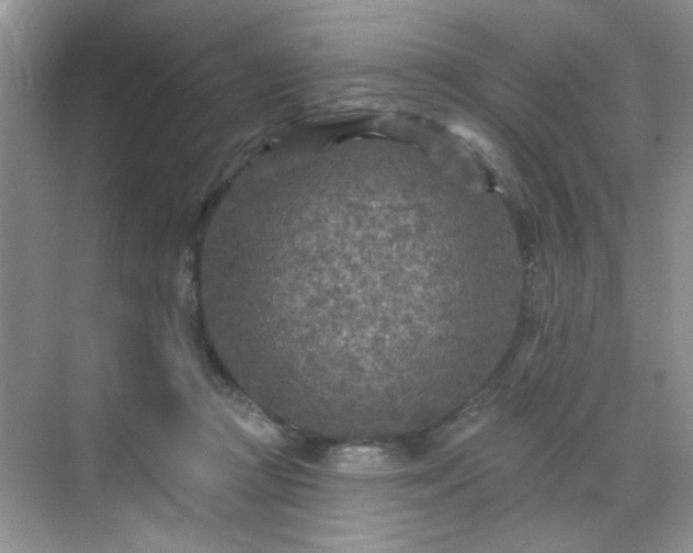 X0000070420361200606161444