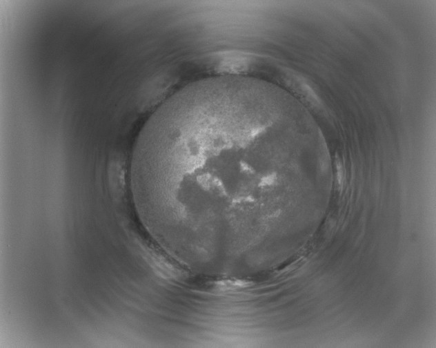 X0000070420363200606161444